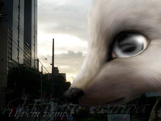 395226 (a): :1024x768